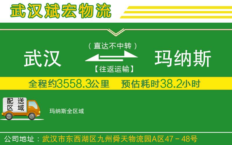 武漢到瑪納斯貨運公司