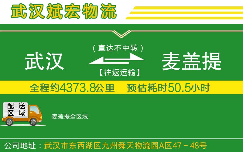 武漢到麥蓋提貨運公司