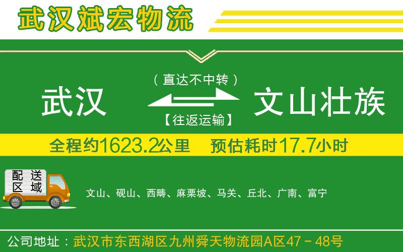 武漢到文山壯族苗族自治州貨運專線