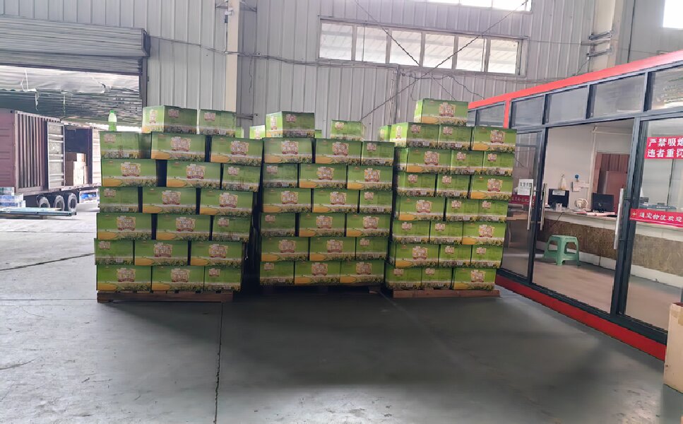 溫州到臺安貨運(yùn)公司